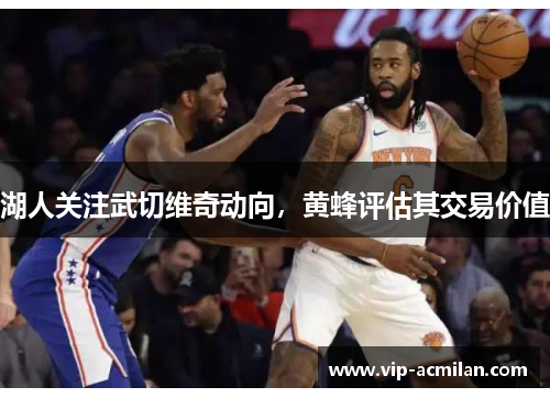 湖人关注武切维奇动向，黄蜂评估其交易价值
