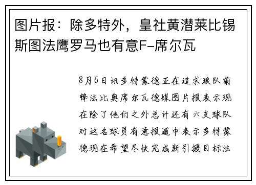 图片报：除多特外，皇社黄潜莱比锡斯图法鹰罗马也有意F-席尔瓦